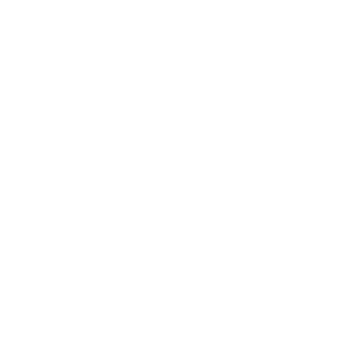 Accounts Payable
